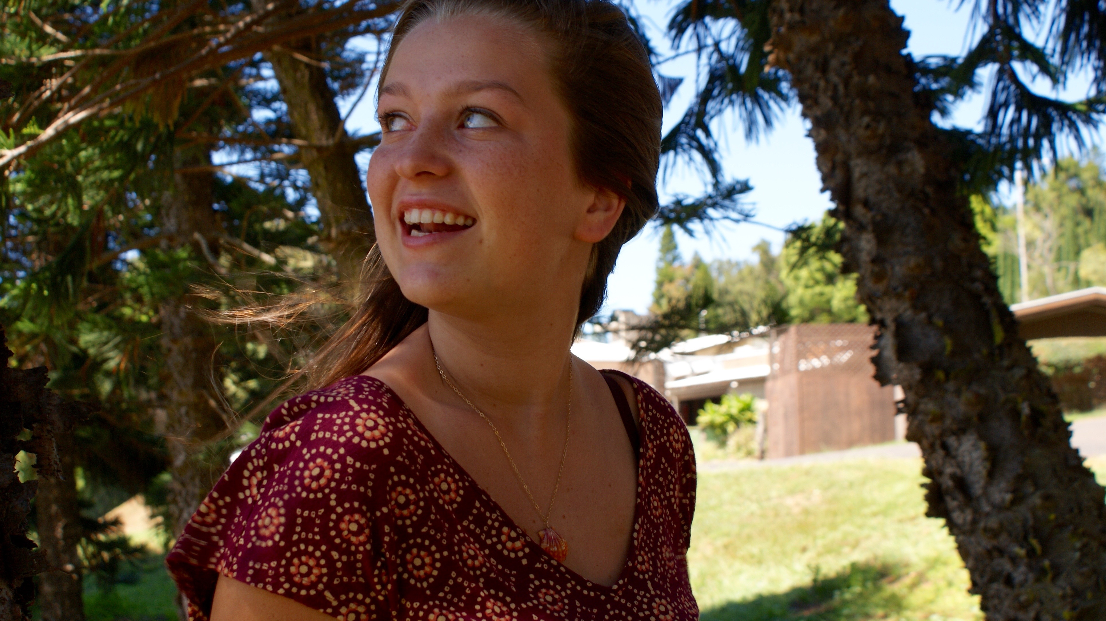 SONY DSC